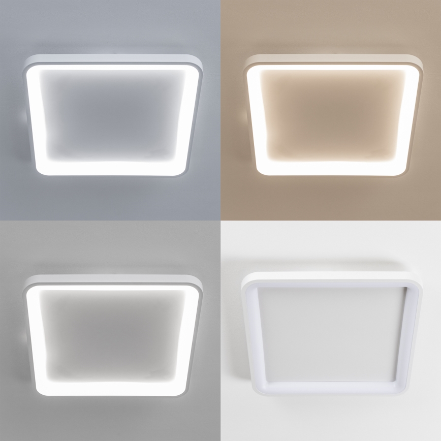 Brilagi - LED plafonsko svetlo FALCON SLIM, prigušiva, LED/50W/230V 3000-6500K 50x50 cm belo + sa daljinskim upravljačem