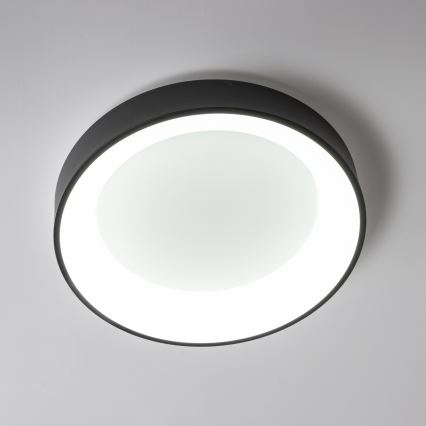 Brilagi - prigušiva LED plafonska svetiljka FALCON LED/40W/230V 3000-6500K prečnik 45 cm crna + daljinski upravljač