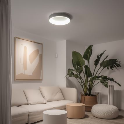 Brilagi - LED prigušiva stropna svetiljka FALCON LED/40W/230V 3000-6500K prečnik 45 cm siva + daljinski upravljač