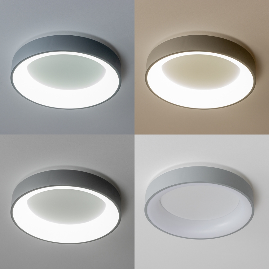 Brilagi - LED prigušiva stropna svetiljka FALCON LED/40W/230V 3000-6500K prečnik 45 cm siva + daljinski upravljač