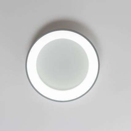 Brilagi - LED prigušiva stropna svetiljka FALCON LED/40W/230V 3000-6500K prečnik 45 cm siva + daljinski upravljač