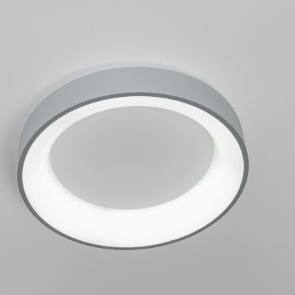 Brilagi - LED prigušiva stropna svetiljka FALCON LED/40W/230V 3000-6500K prečnik 45 cm siva + daljinski upravljač