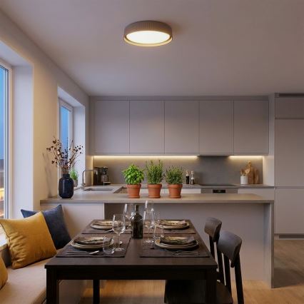Brilagi - prigušiva LED plafonska svetiljka LUCIA LED/48W/230V 3000-6500K Ø 41 cm taupe + daljinski upravljač