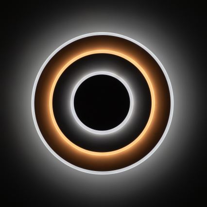 BRILAGI - LED prigušiva plafonska svetiljka MODERN LED/58W/230V 3000-6000K prečnik 46,3 cm + daljinski upravljač