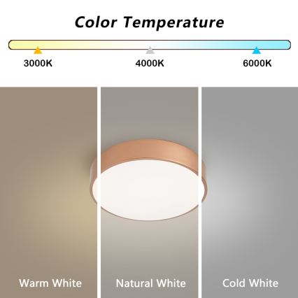 BRILAGI - LED prigušiva stropna svetiljka POOL LED/24W/230V 3000-6000K prečnik 20 cm bronzana + daljinski upravljač