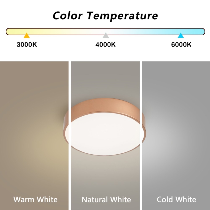BRILAGI - LED prigušiva stropna svetiljka POOL LED/24W/230V 3000-6000K prečnik 20 cm bronzana + daljinski upravljač