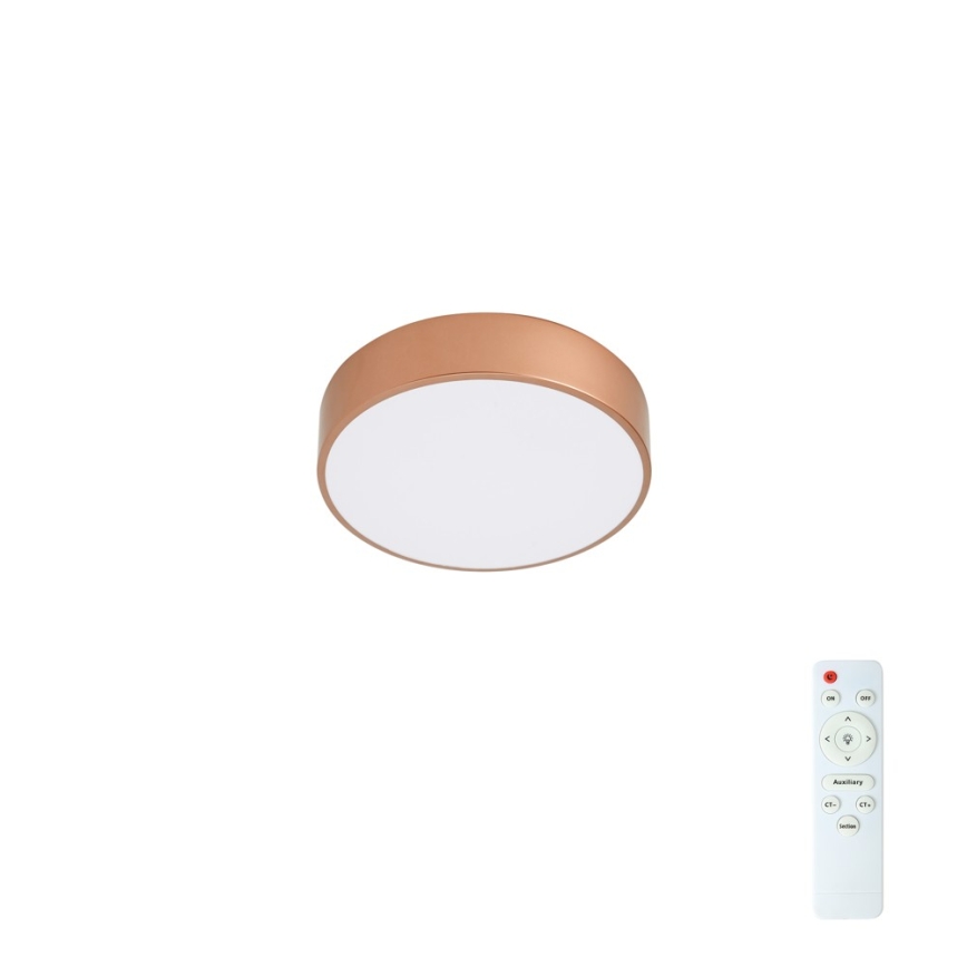 BRILAGI - LED prigušiva stropna svetiljka POOL LED/24W/230V 3000-6000K prečnik 20 cm bronzana + daljinski upravljač