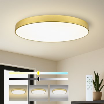 Brilagi - LED prigušiva plafonska svetiljka POOL SMART LED/128W/230V 3000-6000K 100 cm zlatna Wi-Fi Tuya + daljinski upravljač