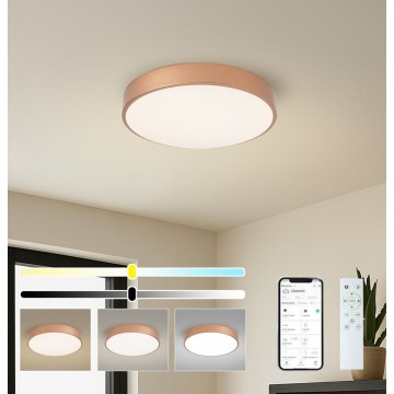 BRILAGI - LED prigušiva plafonska svetiljka POOL SMART LED/48W/230V 3000-6000K prečnik 40 cm Wi-Fi Tuya bronzana + daljinski upravljač