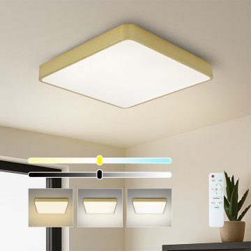BRILAGI - LED prigušiva plafonska svetiljka POOL SQUARE LED/48W/230V 3000-6000K 50x50 cm zlatna + daljinski upravljač