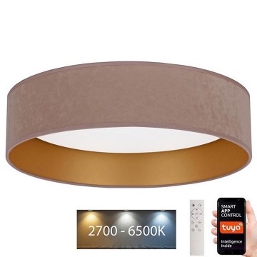 BRILAGI - LED prigušiva plafonska svetiljka VELVET SMART LED/24W/230V prečnik 45 cm 2700-6500K Wi-Fi Tuya bež/zlatna + daljinski upravljač
