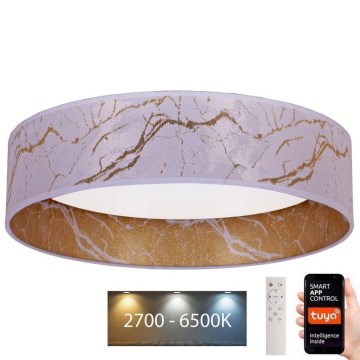 Brilagi - LED prigušiva plafonska svetiljka VELVET SMART LED/36W/230V prečnik 55 cm 2700-6500K Wi-Fi Tuya bela/zlatna + daljinski upravljač