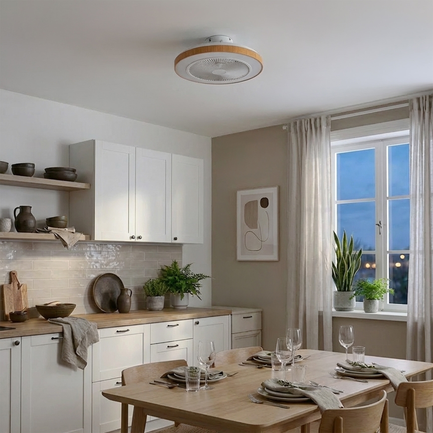 Brilagi - LED stropni ventilator, prigušiva funkcija, LED/38W/230V 50 cm bela/braon + daljinski upravljač