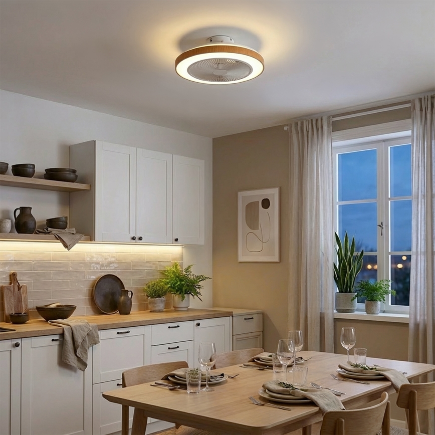 Brilagi - LED stropni ventilator, prigušiva funkcija, LED/38W/230V 50 cm bela/braon + daljinski upravljač