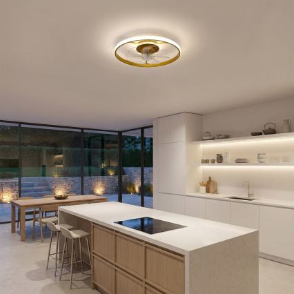 Brilagi - LED prigušiva plafonski ventilator LED/66W/230V 3000-6500K, prečnik 55 cm, bela/zlatna, sa daljinskim upravljačem