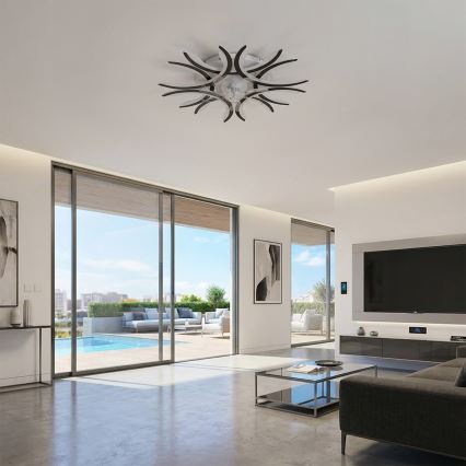 Brilagi - LED prigušiva plafonski ventilator LED/70W/230V 3000-6500K prečnik 76 cm crna + daljinski upravljač