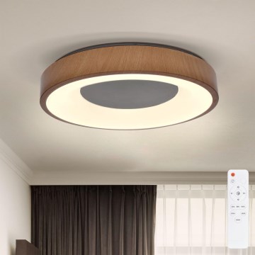 Brilagi - LED prigušiva plafonsko svetlo DORIA LED/48W/230V 3000-6500K preč. 39 cm + daljinski upravljač