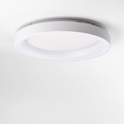 Brilagi - LED prigušiva stropna svetiljka FALCON II LED/99W/230V 3000-6500K prečnik 60 cm bela + daljinski upravljač