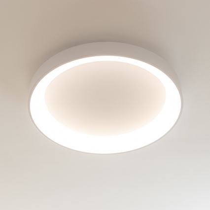 Brilagi - LED prigušiva stropna svetiljka FALCON II LED/99W/230V 3000-6500K prečnik 60 cm bela + daljinski upravljač