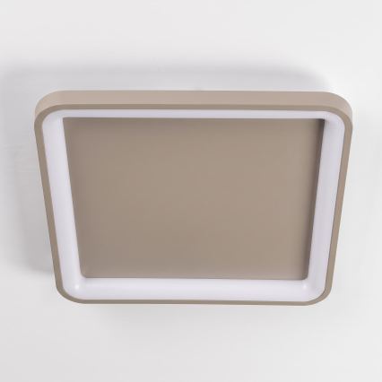 BRILAGI - LED prigušiva plafonska svetiljka FALCON SLIM LED/50W/230V 3000-6500K 50x50 cm bež + daljinski upravljač