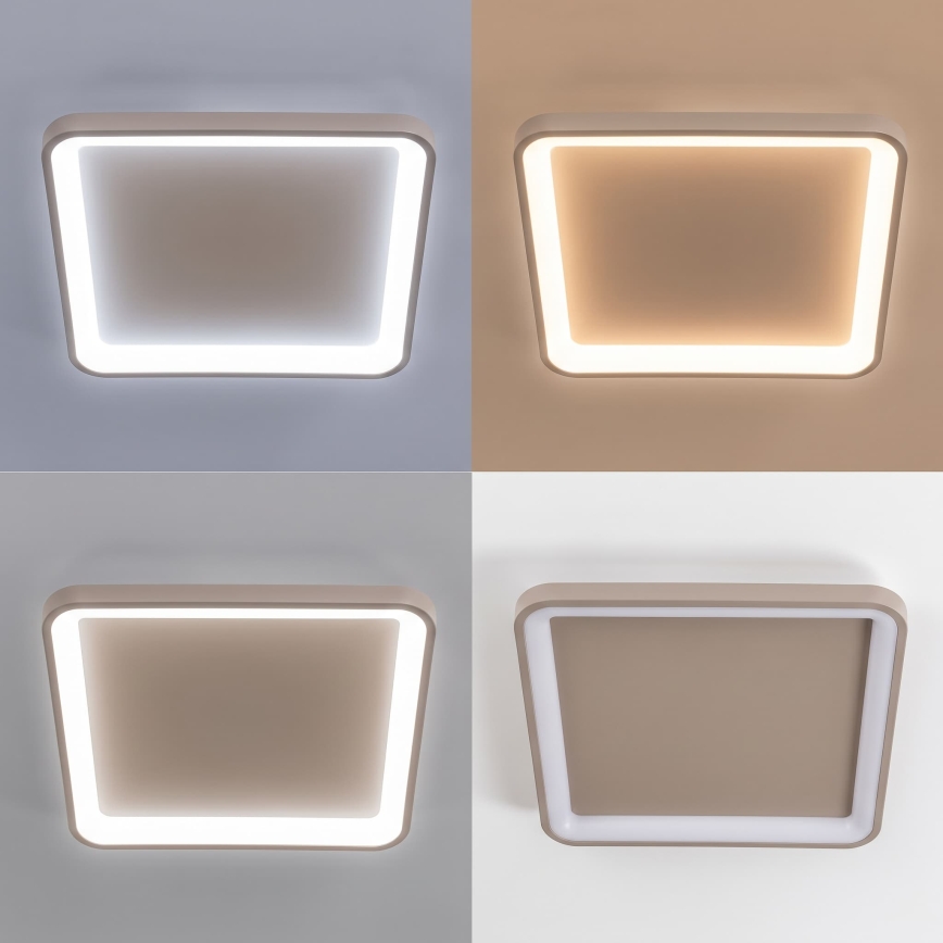 BRILAGI - LED prigušiva plafonska svetiljka FALCON SLIM LED/50W/230V 3000-6500K 50x50 cm bež + daljinski upravljač