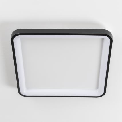 Brilagi - LED prigušiva plafonska lampa FALCON SLIM LED/50W/230V 3000-6500K 50x50 cm crna + daljinski upravljač