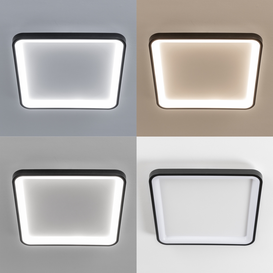 Brilagi - LED prigušiva plafonska lampa FALCON SLIM LED/50W/230V 3000-6500K 50x50 cm crna + daljinski upravljač