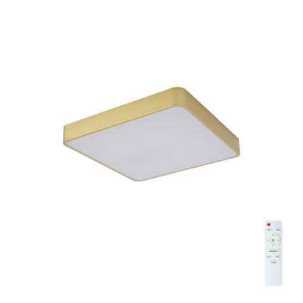 Brilagi - LED prigušiva plafonska svetiljka POOL LED/36W/230V 3000-6000K 40x40 cm zlatna + daljinski upravljač