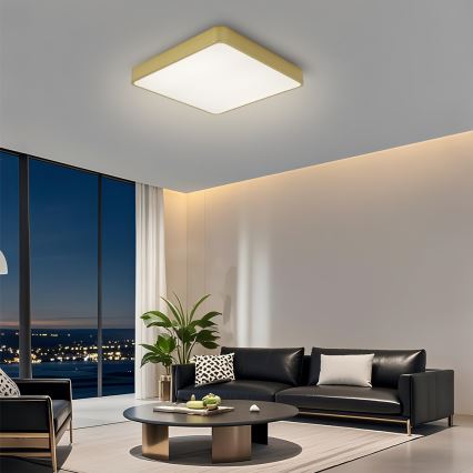Brilagi - LED prigušiva plafonska svetiljka POOL LED/48W/230V 3000-6000K 50x50 cm zlatna + daljinski upravljač