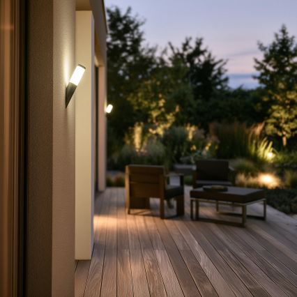BRILAGI - LED prigušiva spoljna zidna lampa ELIA 1xE27/6W/230V 2700-6500K IP44 Wi-Fi antracit