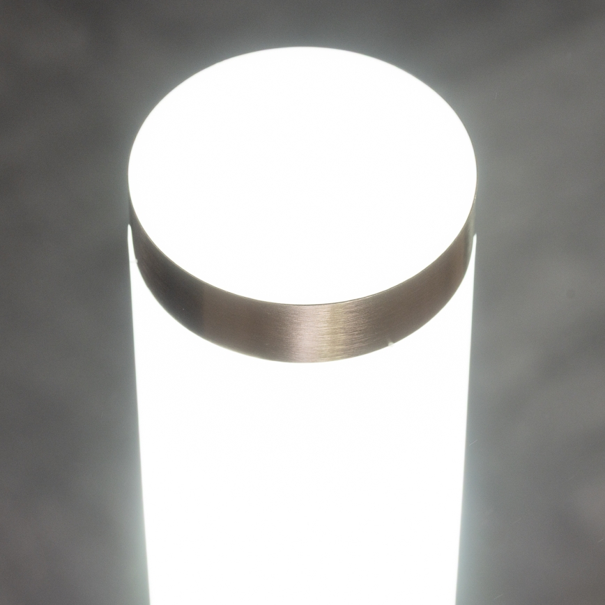 BRILAGI - LED prigušiva spoljašnja zidna lampa ELIA 1xE27/6W/230V 2700-6500K IP44 mat hrom