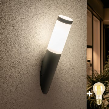 BRILAGI - LED prigušiva spoljna zidna lampa ELIA 1xE27/6W/230V 2700-6500K IP44 Wi-Fi antracit