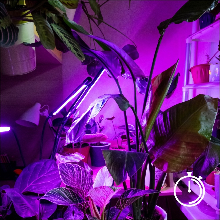 Brilagi - VITABLOOM LED prigušiva fleksibilna stojeća lampa za gajenje biljaka 4xLED/7,5W/230V crna