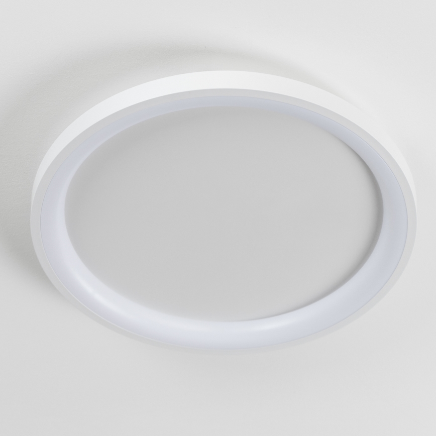 Brilagi - LED prigušiva plafonska lampa FALCON SLIM LED/42W/230V 3000-6500K prečnik 50 cm bela + daljinski upravljač
