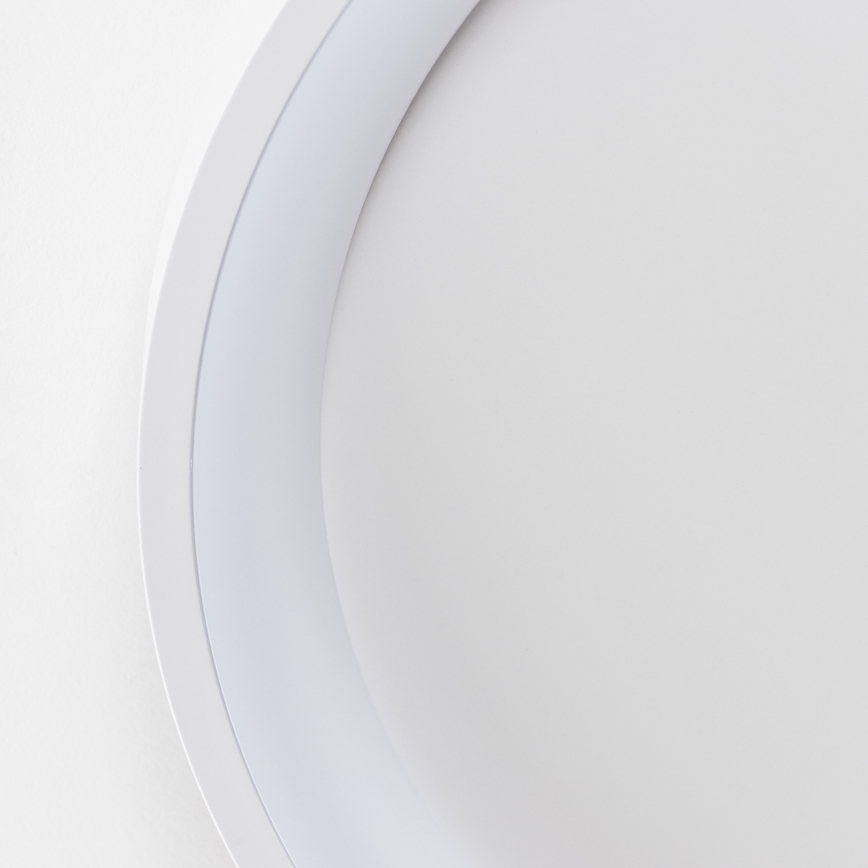 Brilagi - LED prigušiva plafonska lampa FALCON SLIM LED/42W/230V 3000-6500K prečnik 50 cm bela + daljinski upravljač