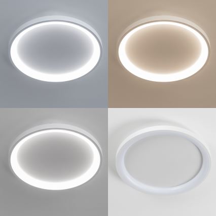 Brilagi - LED prigušiva plafonska lampa FALCON SLIM LED/42W/230V 3000-6500K prečnik 50 cm bela + daljinski upravljač