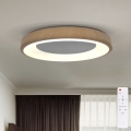 BRILAGI - LED prigušiva stropna svetiljka DORIA LED/60W/230V 3000-6500K preč. 60 cm + daljinski upravljač