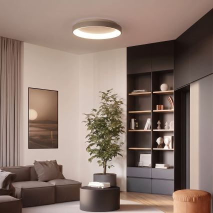 BRILAGI - LED prigušiva plafonsko svetlo FALCON II LED/99W/230V 3000-6500K prečnik 60 cm bela/bež + daljinski upravljač