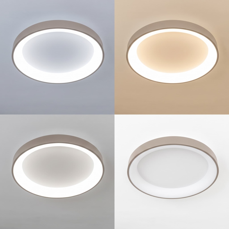 BRILAGI - LED prigušiva plafonsko svetlo FALCON II LED/99W/230V 3000-6500K prečnik 60 cm bela/bež + daljinski upravljač
