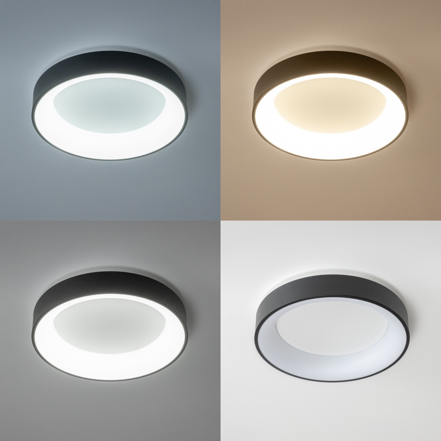Brilagi - LED prigušiva stropna svetiljka FALCON LED/80W/230V 3000-6500K prečnik 60 cm crna + daljinski upravljač