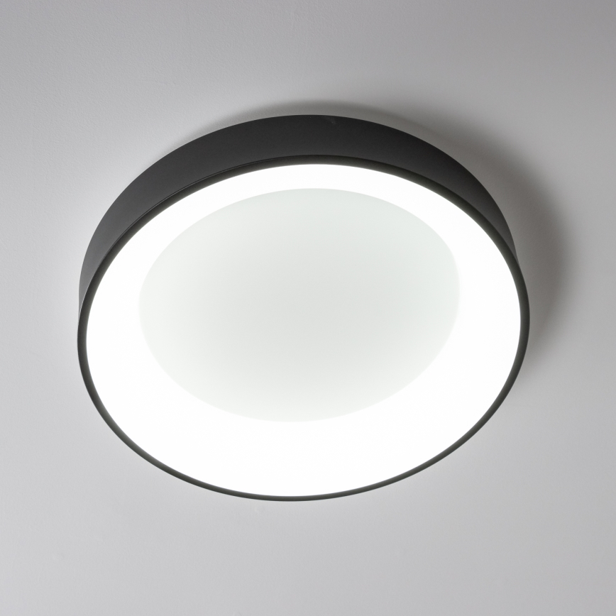 Brilagi - LED prigušiva stropna svetiljka FALCON LED/80W/230V 3000-6500K prečnik 60 cm crna + daljinski upravljač