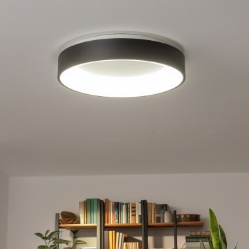 Brilagi - LED prigušiva stropna svetiljka FALCON LED/80W/230V 3000-6500K prečnik 60 cm crna + daljinski upravljač