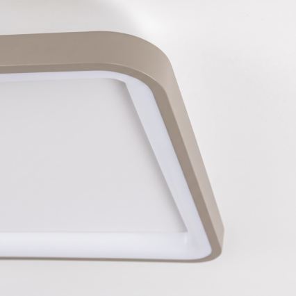 BRILAGI - LED Stropno svetlo sa prigušiva FALCON SLIM LED/50W/230V 3000-6500K 50x50 cm bela/bež + daljinski upravljač