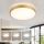 Brilagi - LED prigušiva stropna svetiljka GLASS POOL DOUBLE LED/48W/230V 3000-6000K 40 cm zlatna + daljinski upravljač
