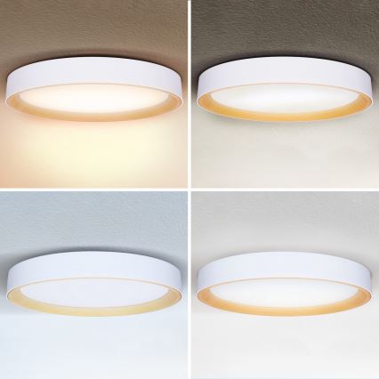 Brilagi - prigušiva LED plafonska svetiljka LARIOS LED/72W/230V 3000-6500K bela, prečnik 59 cm + daljinski upravljač