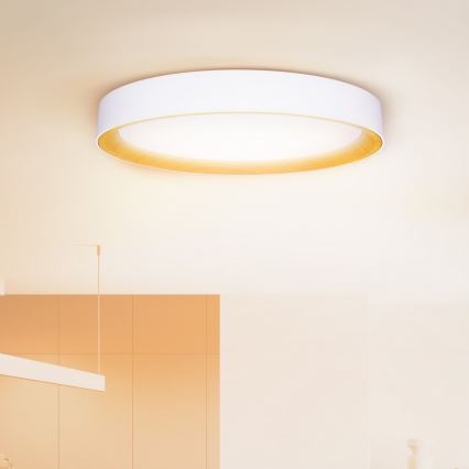 Brilagi - prigušiva LED plafonska svetiljka LARIOS LED/72W/230V 3000-6500K bela, prečnik 59 cm + daljinski upravljač