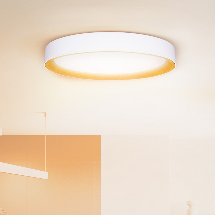 Brilagi - prigušiva LED plafonska svetiljka LARIOS LED/72W/230V 3000-6500K bela, prečnik 59 cm + daljinski upravljač