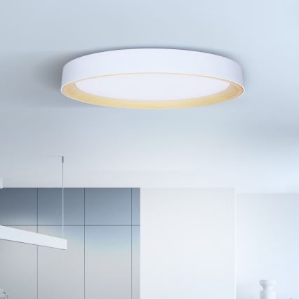 Brilagi - prigušiva LED plafonska svetiljka LARIOS LED/72W/230V 3000-6500K bela, prečnik 59 cm + daljinski upravljač