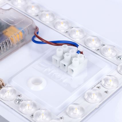 Brilagi - LED prigušiva plafonska svetiljka LUCIA LED/48W/230V 3000-6500K prečnik 41 cm bež + daljinski upravljač