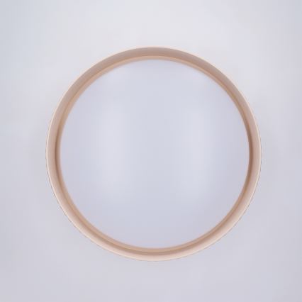 Brilagi - LED prigušiva plafonska svetiljka LUCIA LED/48W/230V 3000-6500K prečnik 41 cm bež + daljinski upravljač